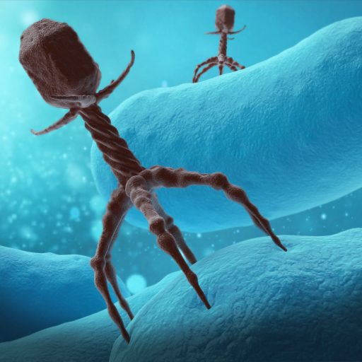 bacteriophage_edit